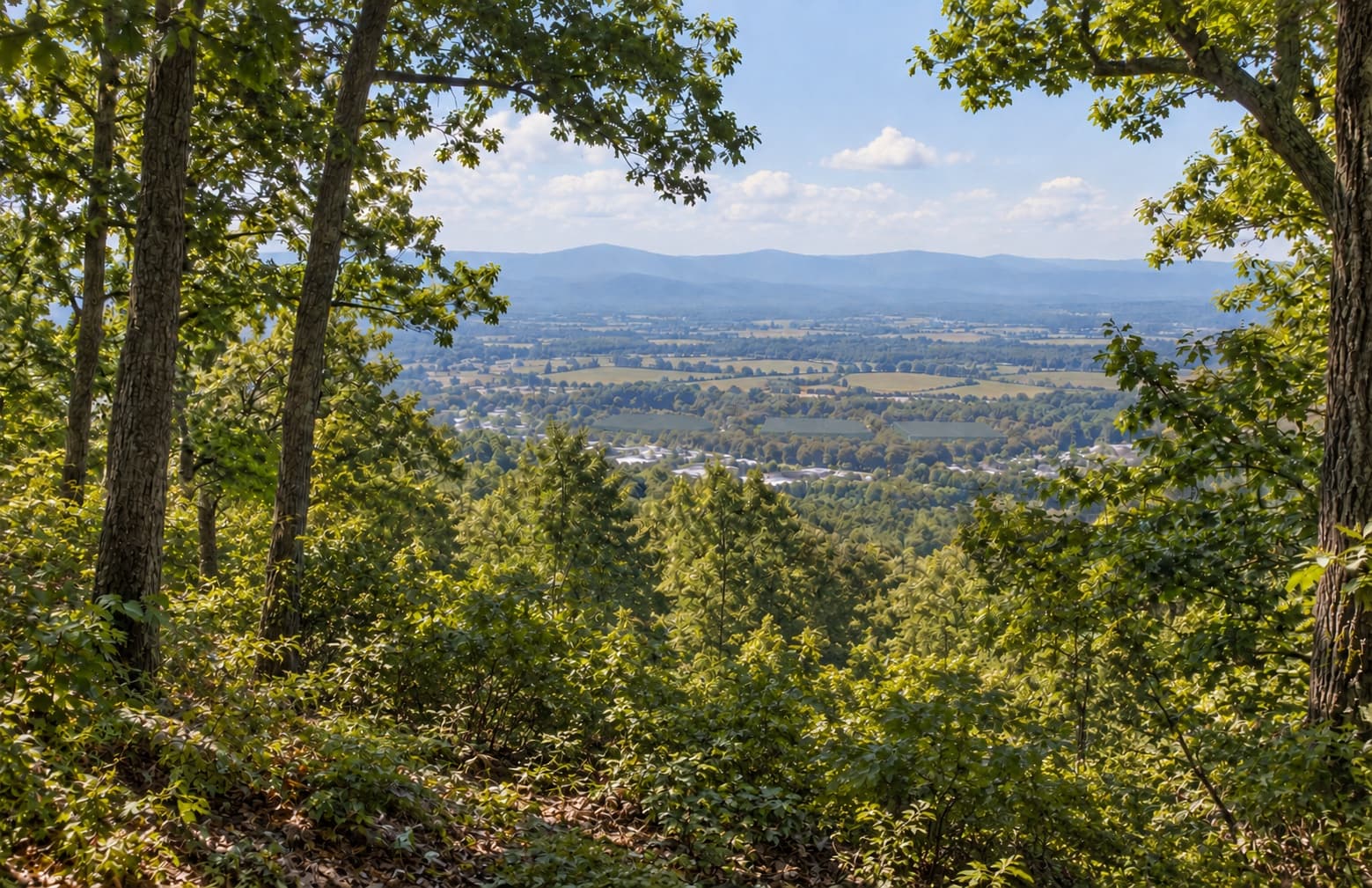 A view from inside a wooded hillside, framed by tree trunks and green leaves, out across forest canopy to a patchwork of fields and scattered buildings on the valley floor, with blue ridges along the horizon. Pale roofs are just visible through the trees at the centre right.